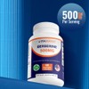Vitamatic Berberine Supplement 500mg - 60 Vegetable Capsules - Made
