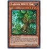 YuGiOh 5D's Hidden Arsenal 4 Single Card Naturia White Oak HA04-EN051 Secret ...