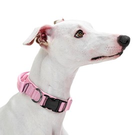 OneTigris Dog Collar with Metal Buckle for Dogs Pink S