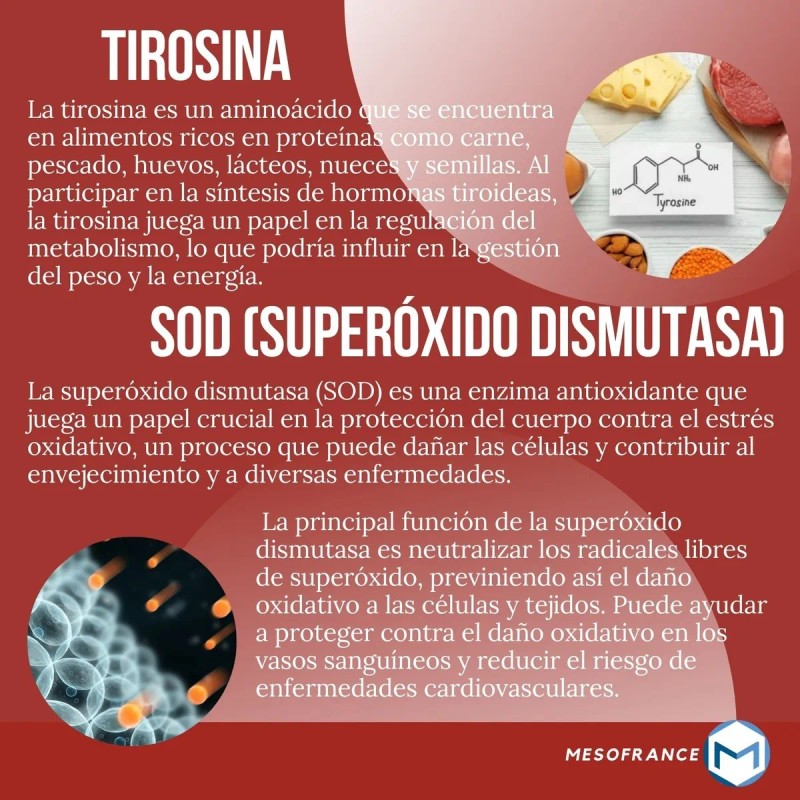 Glteo Peptonas Black Pegasus Reductor Abdominal Cpsulas Sin Sabor