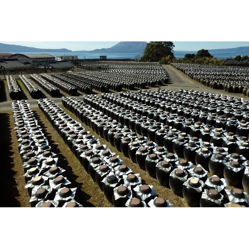 [Sakamoto Kurozu] Original Artisan Amber Brown Rice Vinegar, Fermented, Mild