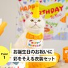 NYANDELMO Pet Hat Birthday Birthday Goods Pet Dog Cat Birthday
