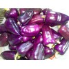 CEMEHA SEEDS Sweet Bell Pepper Purple Vegetable Heirloom Organic Non-GMO