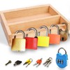 Montessori Lock and Key Toy Set for Toddlers, Educational STEM