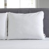 Sealy Essentials Down Alternative & Memory Foam Pillow, Standard/Queen, White