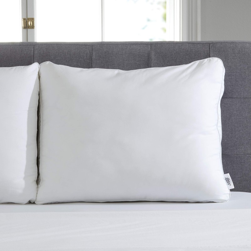 Sealy Essentials Down Alternative & Memory Foam Pillow, Standard/Queen, White
