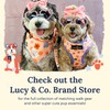 Lucy & Co. The Simply Splendid No-Pull Dog Harness -