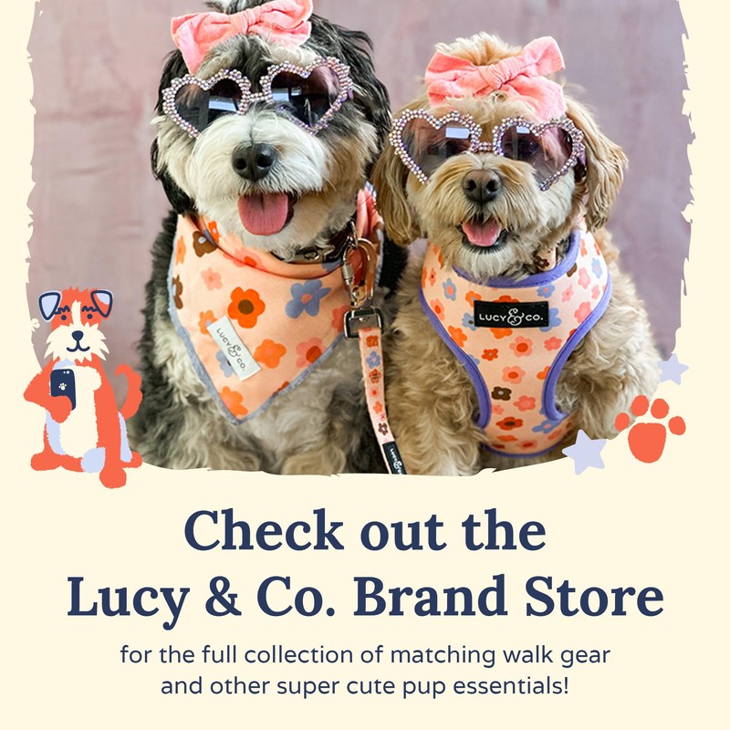 Lucy & Co. The Simply Splendid No-Pull Dog Harness -