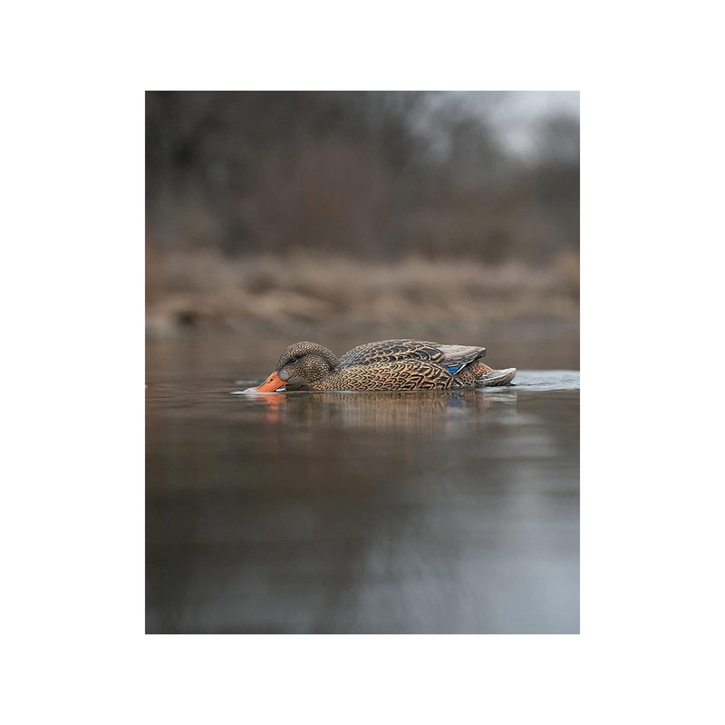 Avery GHG Finisher Swimmer Mallard Hen Motion Decoy