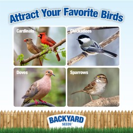 CountryMax Backyard Seeds Classic Berry Blend Sunflower Bird Seed Mix in Bucket 15 Pounds