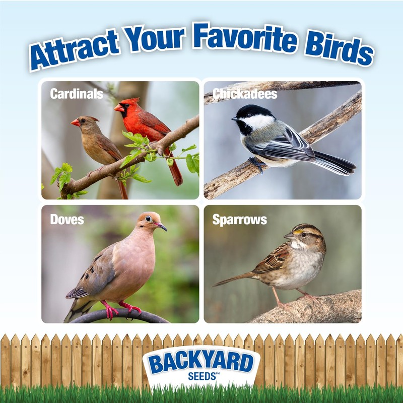 CountryMax Backyard Seeds Classic Berry Blend Sunflower Bird Seed Mix
