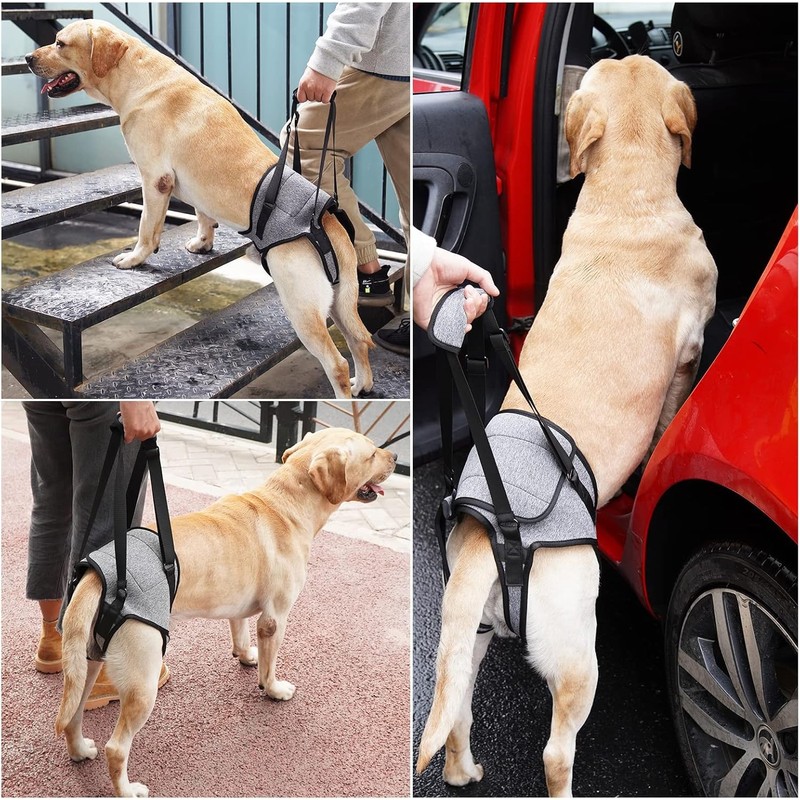 SOVYOULIVE Adjustable Dog Lift Harness Dog Sling for Large Dogs