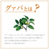 Orihiro Economy Guava Tea 2g x 48 Bags