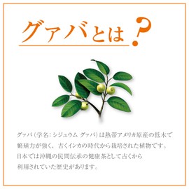 Orihiro Economy Guava Tea 2g x 48 Bags