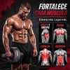 Rueda Abdominales, Equipo de Entrenamiento de Abs para Entrenamiento de