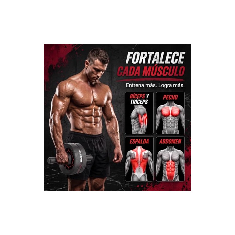 Rueda Abdominales, Equipo de Entrenamiento de Abs para Entrenamiento de
