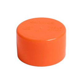 Eopzol 6722720 P-0018 1-1/2 Inch Slip-On Test Cap Replacement for Thrifco Plumbing