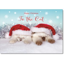 doodlecards To The Cat Christmas Card Two Cats with Santa Hats Medium Size Christmas Card for To The Cat with Plain Envelope