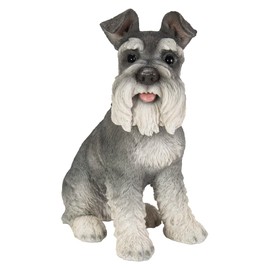 Vivid Arts (Miniature Schnauzer Sitting