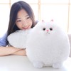 Winsterch Cuddly Cat Soft Toy Stuffed Cat Teddy Plush Animal