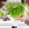 Hydroponic Growing Sponge, Vegetable Planting Sponge, Gardening Supplies, Hydroponic Cultivation,