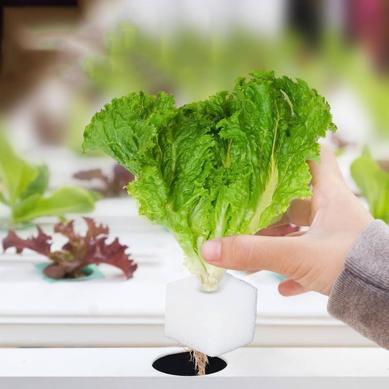 Hydroponic Growing Sponge, Vegetable Planting Sponge, Gardening Supplies, Hydroponic Cultivation,