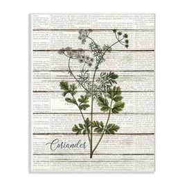 Stupell Industries Coriander Vintage Herb Kitchen Dining Room Word Collage Design Wall Plaque, 12 x 18, Multi-Color