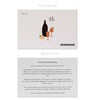 Mindfulness Advent Calendar for Tasks and Activities to help you