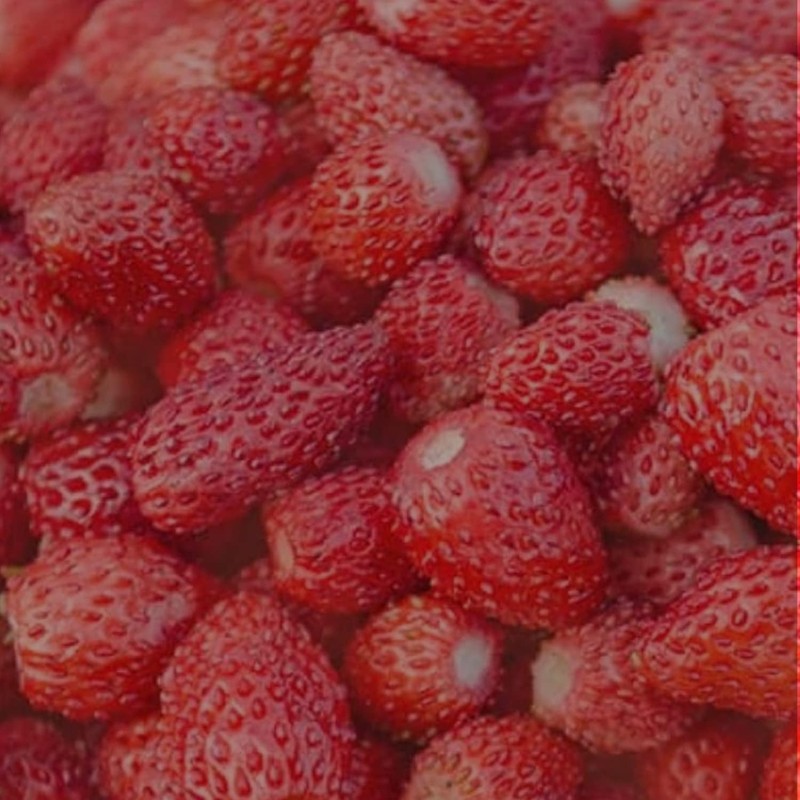 AQUOLINA 8033866161983 Traditional Body Milk #Wild Strawberries 250 ml Unisex