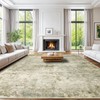 Shilucheng 6x9 Rug for Living Room Neutral Machine Washable Large