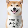 2 Pack Dog Bandana Pregnancy Announcement, Bandana for Dogs Baby