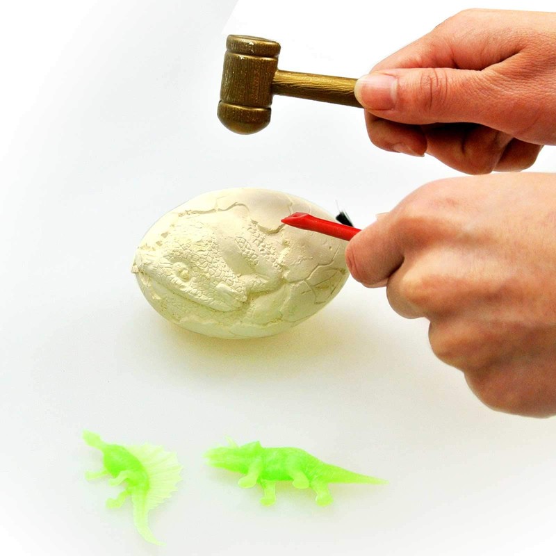 Dinosaur Fossil 206-631