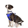 WINSEE Dog Harness No Pull, Pet Harnesses with Dog Collar,