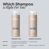 Paul Mitchell Awapuhi Shampoo, Balances Moisture + Adds Shine, For