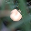 EASZZZ Baby Night Light, Nursery Night Lamp for Breastfeeding, Soft