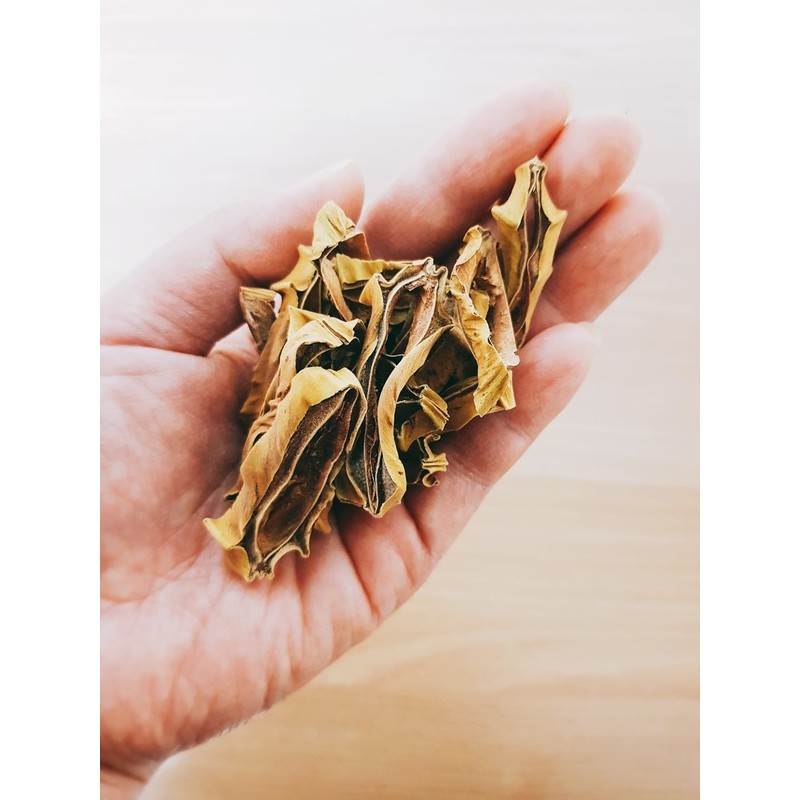 Domestic roasted black bean tea, black bean water substitute tea,