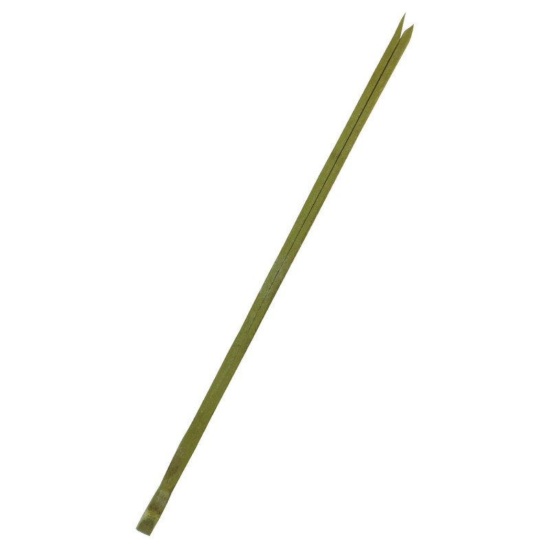 Commercial Use Pine Needle Skewers, 3.5 inches (9 cm), Approx.
