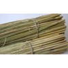 Craft Broom Corn with Stalks 24-36" Length…