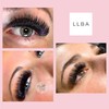 LLBA LLBA Promade Fans | Handmade Volume Eyelashes | Multi
