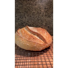 sanfransourdough Active Dried Sourdough Starter San Francisco Yeast Bacteria baking bread