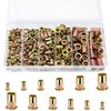 Set of 220 Rivet Nuts Assortment Set, Flat Head Threaded