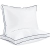 Overseas Stock Different Size Sleeping Pillow 40% White Goose Feather