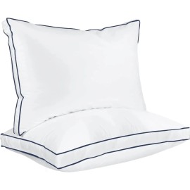 Overseas Stock Different Size Sleeping Pillow 40% White Goose Feather Down Pillow Soft Fluffy Luxury Bed Pillow Set for Bedcolor: Blue, size: Standard-20*26