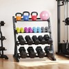 LIONSCOOL Adjustable 4-Tier Dumbbell Rack Stand - Heavy Duty 1000LBS