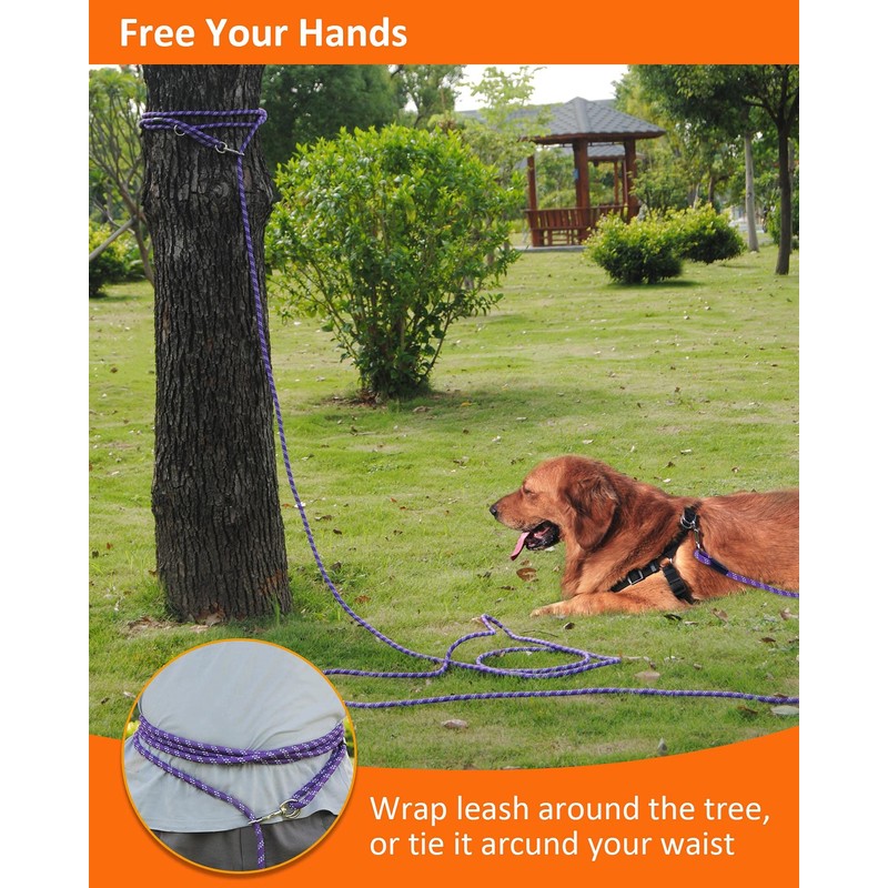 100FT Extra Long Leashes for Dog Training, Reflective Threads Check