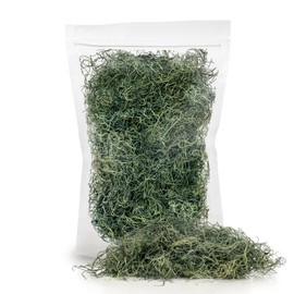 Premium Spanish Moss in Basil| Natural Preserved - Great Ground Cover - Filler for Potted Plants - by GARDENERA - 4 Quart Bag