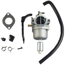 Carburetor for Briggs & Stratton 310707 310777 287707 287776 287777 Motors Carb