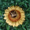 Vivid Arts - Hanging Harvest Mouse/Sunflower - HGF-022