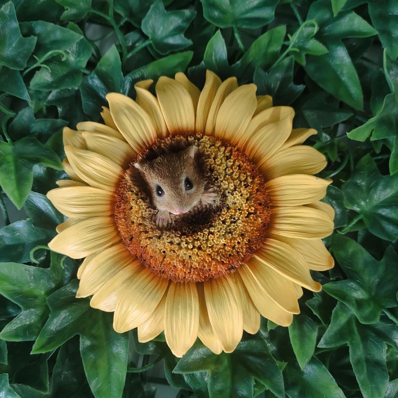 Vivid Arts - Hanging Harvest Mouse/Sunflower - HGF-022