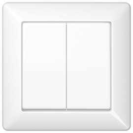 Jung AS590 5Ww Rocker Switch for Series Switches